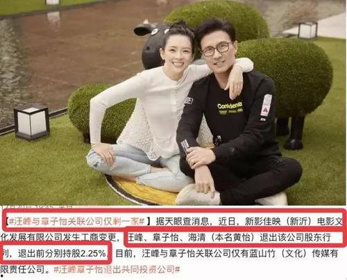 娱乐大瓜爆料离婚女主,揭秘离婚女主背后的真相与心酸  第2张