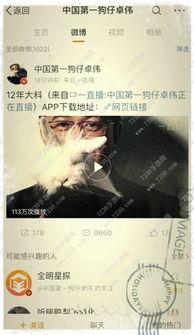卓伟爆料合集视频网,揭秘娱乐圈背后的真相与秘密