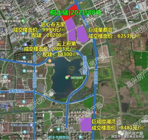 现在和以后在线观看,现在与未来在线观看之旅 第3张 现在和以后在线观看,现在与未来在线观看之旅 第3张