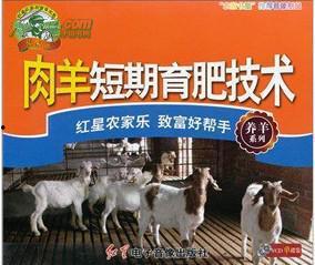 育肥羊爆料视频最新,揭秘养殖场惊人内幕 第3张 育肥羊爆料视频最新,揭秘养殖场惊人内幕 第3张