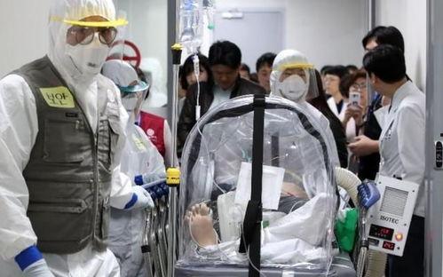 韩国最新疫情爆料,追踪变异病毒与防疫挑战