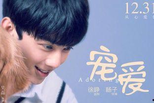 《宠爱》在线观看,温情治愈，宠物与主人间的感人故事  第3张
