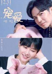 宠爱在线观看免费观看,温情满满,感动人心的宠物故事  第2张 宠爱在线观看免费观看,温情满满,感动人心的宠物故事  第2张