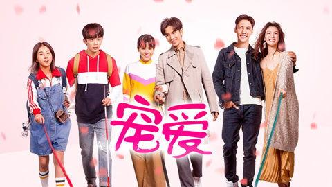 宠爱在线观看免费观看,温情满满,感动人心的宠物故事  第3张 宠爱在线观看免费观看,温情满满,感动人心的宠物故事  第3张