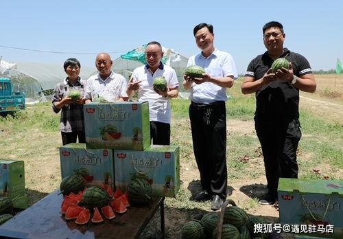 吃瓜小分队娱乐圈8,吃瓜小分队揭秘幕后真相 第3张 吃瓜小分队娱乐圈8,吃瓜小分队揭秘幕后真相 第3张
