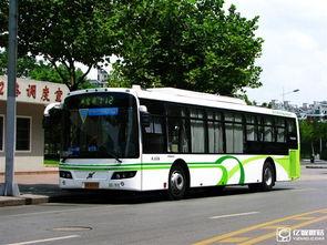 葫芦岛公交车爆料新闻最新,乘客拾金不昧传递正能量