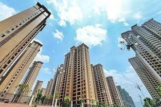 第一楼市爆料最新消息,最新楼市动态揭秘