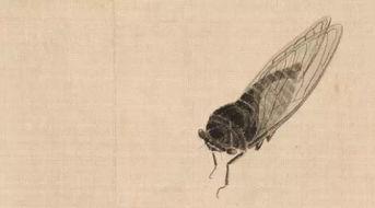 薄如蝉翼在线观看,揭秘在线观看的惊心动魄之旅  第3张 薄如蝉翼在线观看,揭秘在线观看的惊心动魄之旅  第3张