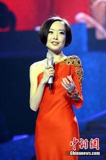 成龙爆料鲁豫视频大全,鲁豫视频背后的故事与幕后花絮