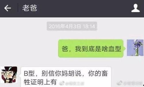 爆料新闻搞笑图片大全集,爆笑集结！揭秘搞笑图片大全集的欢乐瞬间