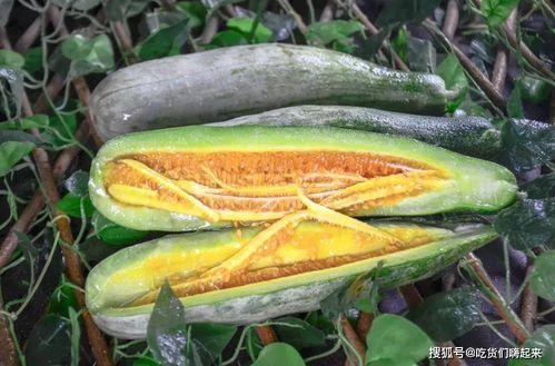 乐清网红吃瓜,揭秘网络舆论背后的真相  第3张 乐清网红吃瓜,揭秘网络舆论背后的真相  第3张