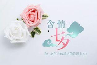 爆料七夕节教程视频大全,浪漫节日必备技能大揭秘  第2张