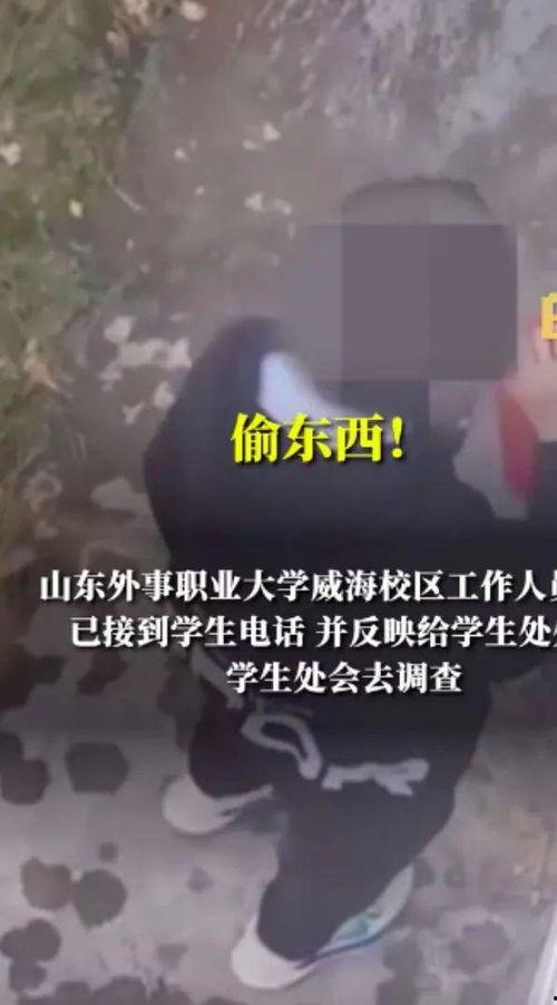 男大学生爆料视频大全集,校园生活真实写照  第2张