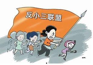 博士最新事件爆料新闻,揭秘幕后真相与惊人爆料  第3张