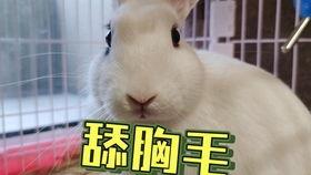 吃瓜女护士抖音网红,揭秘网红背后的故事”  第3张