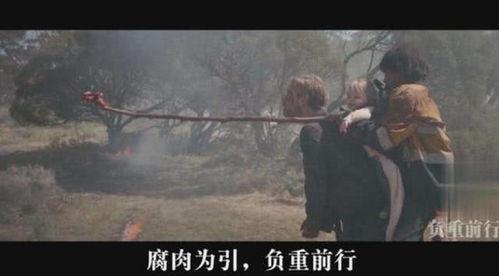 末日之塔电影在线观看,末世求生之旅  第3张 末日之塔电影在线观看,末世求生之旅  第3张