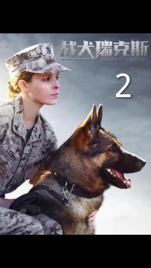 战犬在线观看,忠诚守护,热血征途  第2张 战犬在线观看,忠诚守护,热血征途  第2张