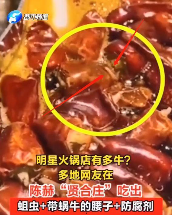 火锅之王爆料视频,独家爆料视频深度解析  第2张 火锅之王爆料视频,独家爆料视频深度解析  第2张