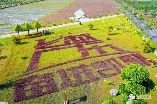 美丽田园爆料视频大全集,揭秘幕后真相与精彩瞬间  第2张 美丽田园爆料视频大全集,揭秘幕后真相与精彩瞬间  第2张