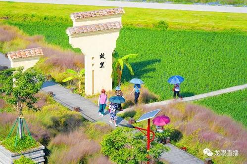 美丽田园爆料视频大全集,揭秘幕后真相与精彩瞬间  第3张 美丽田园爆料视频大全集,揭秘幕后真相与精彩瞬间  第3张