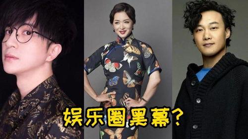 盘点爆料娱乐圈黑幕  第2张 盘点爆料娱乐圈黑幕  第2张