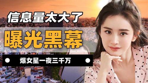 盘点爆料娱乐圈黑幕  第3张 盘点爆料娱乐圈黑幕  第3张