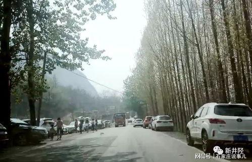 石家庄藁城最新爆料,揭秘城市变迁与发展新动向  第2张 石家庄藁城最新爆料,揭秘城市变迁与发展新动向  第2张