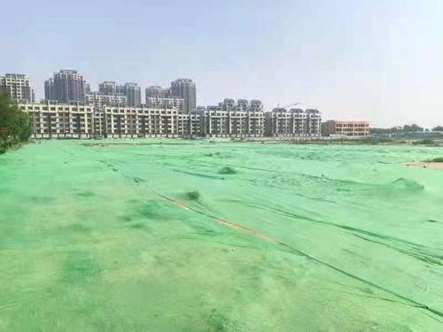 滨州市最新爆料,揭秘城市变迁背后的故事