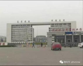 滨州市最新爆料,揭秘城市变迁背后的故事  第2张 滨州市最新爆料,揭秘城市变迁背后的故事  第2张