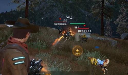 流浪者武器爆料视频,神秘爆料视频曝光惊人细节  第2张 流浪者武器爆料视频,神秘爆料视频曝光惊人细节  第2张