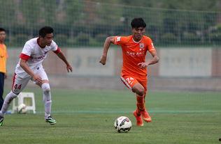 鲁能成源爆料最新消息,最新动态揭秘  第2张