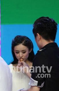 陈晓赵丽颖爆料最新,揭秘娱乐圈背后的真实故事  第3张 陈晓赵丽颖爆料最新,揭秘娱乐圈背后的真实故事  第3张