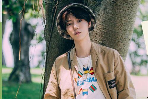 圈内爆料鹿晗鞠婧祎,圈内爆料引热议  第2张 圈内爆料鹿晗鞠婧祎,圈内爆料引热议  第2张