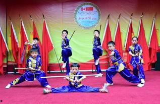 武术武林在线观看,武术世界精彩瞬间回顾  第3张