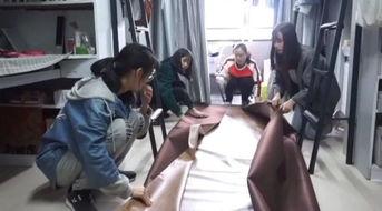 宿舍阿姨爆料视频真实吗,真相还是谣言?