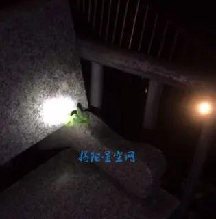 网友爆料猪场视频大全集,网友爆料背后的养殖真相  第3张