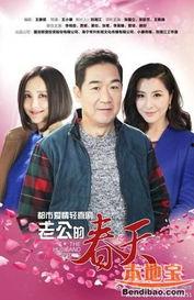 老公的春天电视剧全集在线观看,浪漫温馨，情感纠葛尽收眼底  第3张