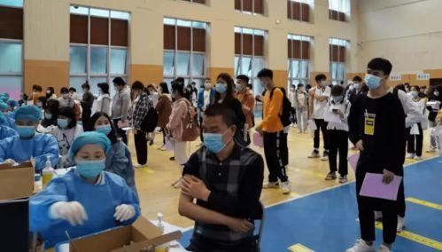 宁县事件爆料信息最新公布,真相逐步浮出水面  第2张