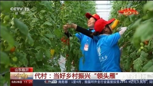 兰陵代村最新爆料新闻,揭秘乡村振兴背后的故事与挑战  第3张 兰陵代村最新爆料新闻,揭秘乡村振兴背后的故事与挑战  第3张