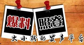 玉溪新闻爆料,揭秘当地热点事件背后的真相  第2张 玉溪新闻爆料,揭秘当地热点事件背后的真相  第2张
