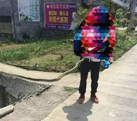 筠连网友爆料最新消息  第3张 筠连网友爆料最新消息  第3张