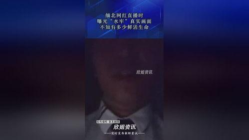 缅北网红官方爆料视频,真实背后的故事