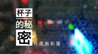 德州饭店爆料视频,一场惊心动魄的餐饮行业风云  第2张