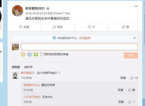 爆料视频分析,深度解析事件背后真相