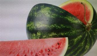 雪梨娱乐吃瓜,揭秘娱乐圈吃瓜背后的真相与内幕  第3张