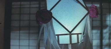 性谈牡丹灯笼在线观看,穿越时空的浪漫邂逅  第2张