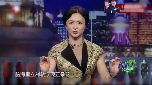 金星爆料酒店视频大全集,酒店视频大全集揭秘不为人知的幕后故事