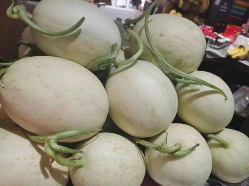 微信黄色瓜免费吃瓜