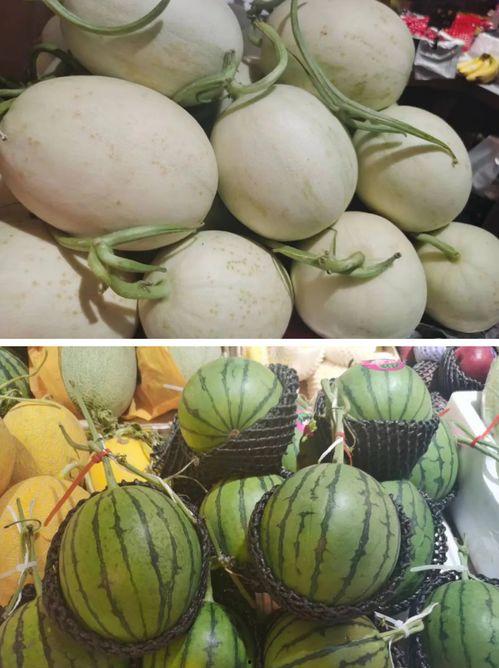 微信黄色瓜免费吃瓜 第2张 微信黄色瓜免费吃瓜 第2张