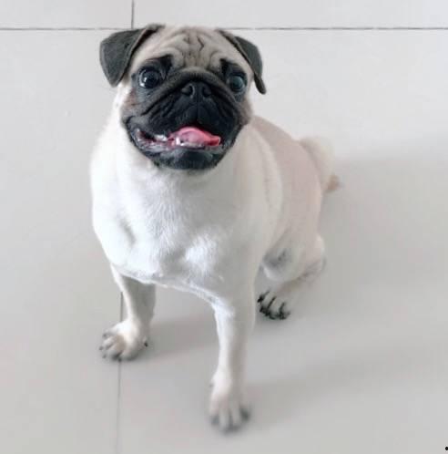 巴哥线索爆料最新消息,最新热点事件内幕大揭秘 第2张 巴哥线索爆料最新消息,最新热点事件内幕大揭秘 第2张